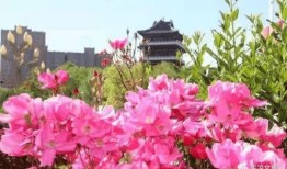 盛网在线观看,畅游影视世界的无限魅力